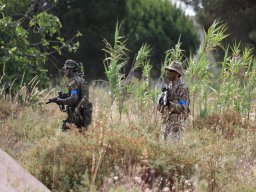 2025-06-01 THE GAME - OPERATION TRACKING DOG